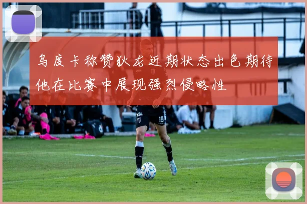 乌度卡称赞狄龙近期状态出色期待他在比赛中展现强烈侵略性