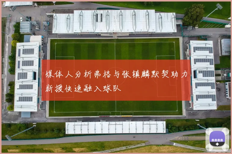 媒体人分析弗格与张镇麟默契助力新援快速融入球队