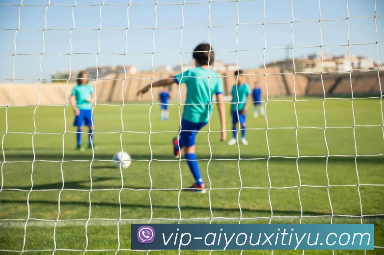 爱游戏体育平台生态图